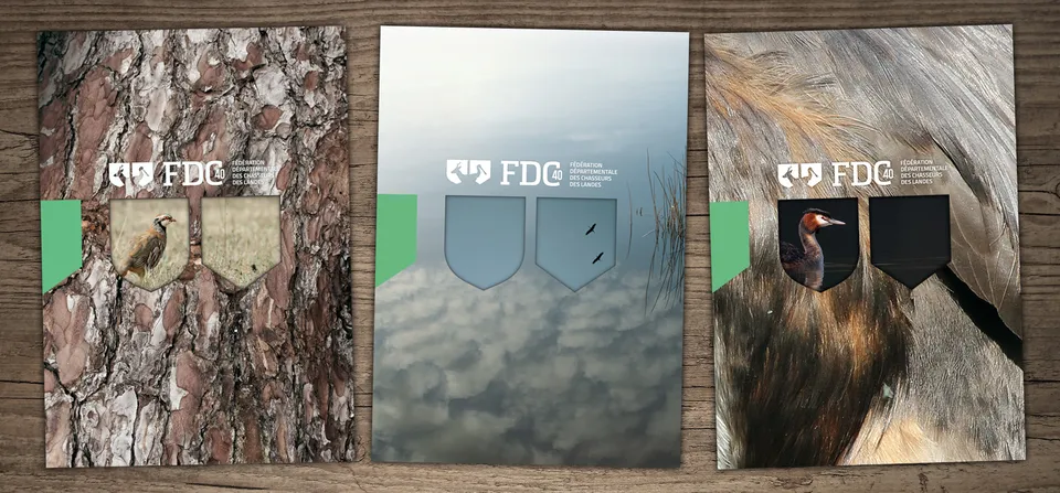 FDC 40 : Identité visuelle (4/5)