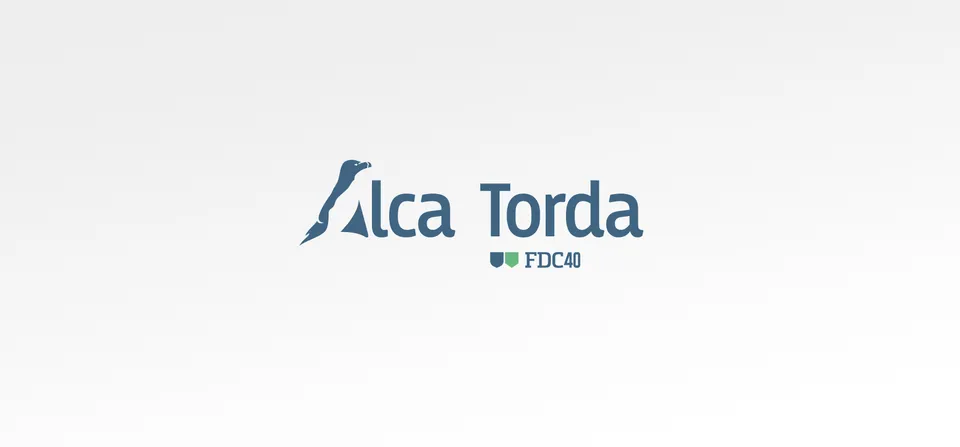 Alca Torda : Identité visuelle et communication (2/6)