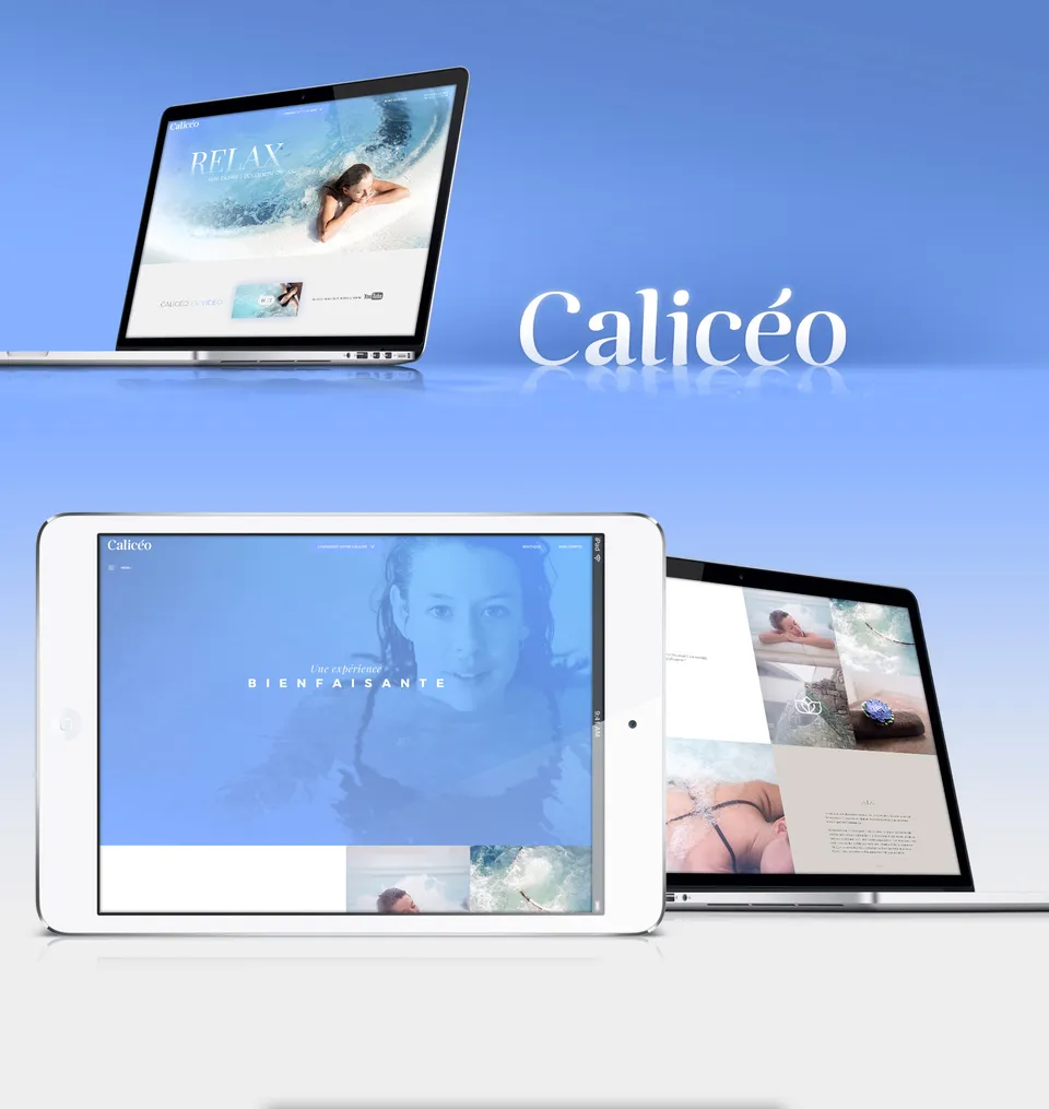 Calicéo : Site internet e-commerce (1/3)