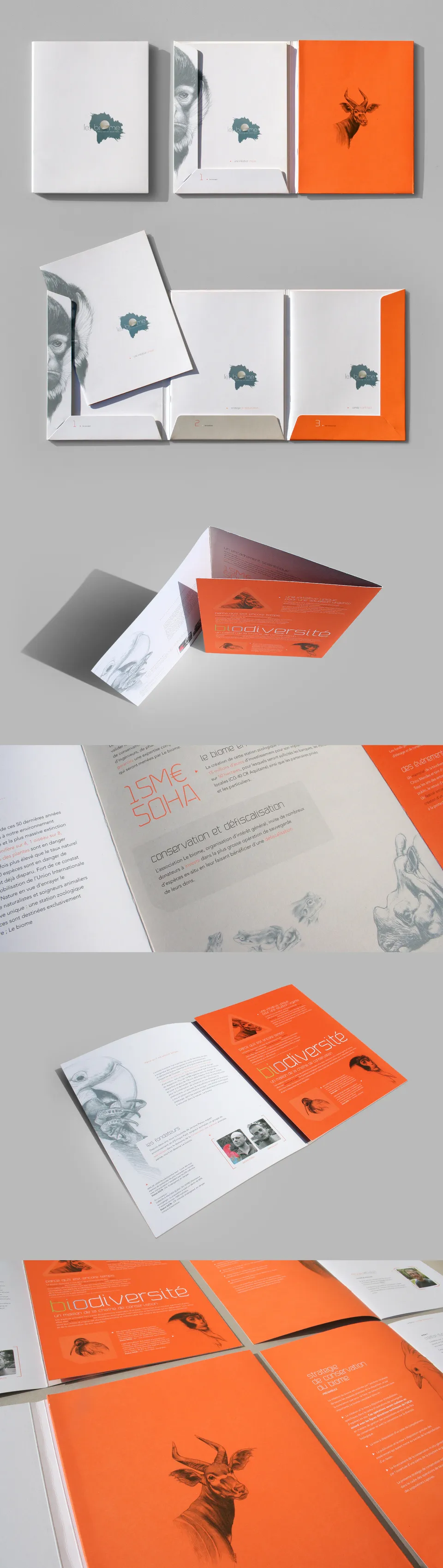 Le Biome : Plaquette corporate (1/1)