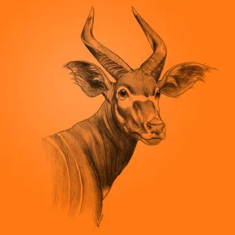 Le Biome : Site internet