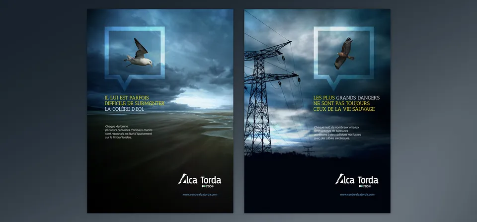 Alca Torda : Identité visuelle et communication (5/6)